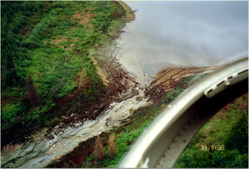 Figure 9. Eroded channel of outlet stream flowing from Chudnuslida Lake following an outbreak flood in 2000. The outbreak resulted from failure of a beaver dam (top of photo). Photo by Marten Geertsema.