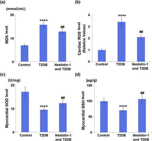 Figure 6. Nesfatin-1 reduces oxidative stress in type 2 diabetes (T2DB) mice. (a) Cardiac malondialdehyde (MDA) level; (b) Cardiac reactive oxygen species (ROS) levels; (c) Myocardial superoxide dismutase (SOD) levels; (d) Myocardial glutathione (GSH) levels (****, P < 0.0001 vs. vehicle group; ## P < 0.01 vs. streptozotocin (STZ) mice).