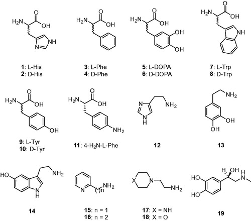 Figure 1. Amino acids 1–11 and amines 12–19 investigated as mtCA 3 activators.