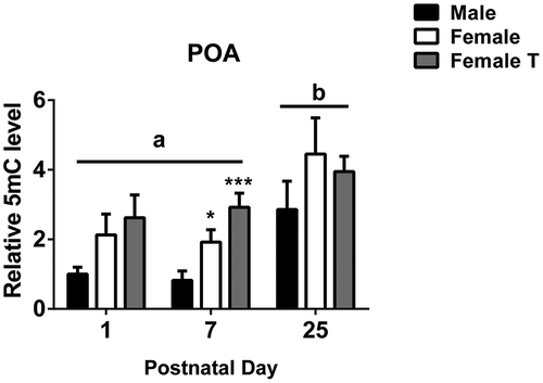 Figure 6. Global levels of 5-methylcytosine (5mC) in the preoptic area of the hypothalamus (POA) increase across development. Global 5mC significantly increased between postnatal day 7 and 25 (P < 0.001). A sex difference was found at postnatal day 7, with two-fold higher global methylation in females than in males. Neonatal testosterone treatment of females did not masculinize global methylation. Different letters indicate significant differences. *P < 0.05 and ***P < 0.001, compared to males on postnatal day 7. Data are mean ± SEM. N = 6 in all groups.
