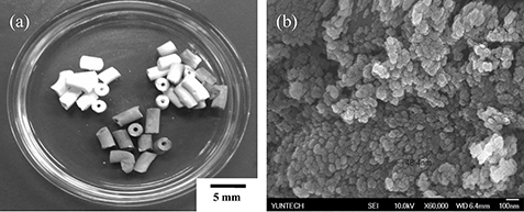 Figure 3. (a) RZ and AgZ products and (b) SEM image of AgZ.