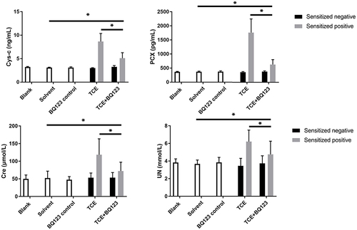 Figure 3 Urinary Cys-c, PCX, Cre and UN levels. Figure 3 shows the urinary levels of Cys-c, PCX, Cre and UN, respectively. Compared to solvent control group, urine levels of Cre, UN, Cys-c and PCX were significantly increased in TCE+BQ123 sensitized positive group; compared to TCE+BQ123 sensitized positive group, urine levels of Cre, UN, Cys-c and PCX were significantly increased in TCE sensitized positive group. *P<0.05.