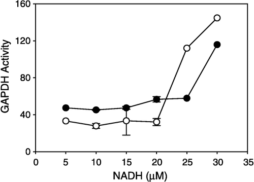 Figure 2 Effects of micromolar NADH on GAPDH activity. GAPDH (4.5 μM) was incubated with (open circles) and without (closed circles) sevoflurane prior to assay at a ratio of 34000:1 (sevoflurane to GAPDH). Glyceraldehyde and NAD+ were at saturating concentrations, NADH (5–30 μM) was added to the assay during continuous monitoring of the reaction, and rates were recorded.