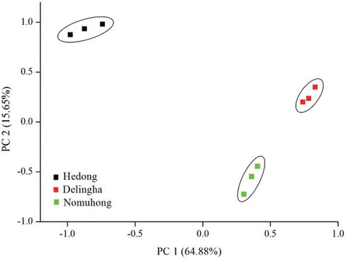 Figure 3. PCA two-dimensional plots of the anthocyanin composition in CLM before in vitro gastrointestinal digestion, which shows the grouping of the samples according to the cultivating location.Figura 3. Gráficos bidimensionales de PCA de la composición de antocianina en CLM antes de la digestión gastrointestinal in vitro, que exhiben el agrupamiento de las muestras según la ubicación del cultivo.