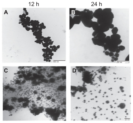 Figure 2 Representative transmission electron micrographs of gold nanoparticles synthesized using various amounts of Candida albicans cytosolic extract. Transmission electron micrographs of gold nanoparticles generated upon incubation of 5 mL of HAuCl4 (10−3 M) with 1 mL of C. albicans cytosolic extract and making up final volume of reaction mixture (10 mL) using deionized water for (A) 12 hours and (B) 24 hours. (C) and (D) represent transmission electron microscopic images of nanoparticles obtained as a result of reduction of 5 mL of HAuCl4 solution (10−3 M) by 5 mL of cytosolic extract after 12 hours and 24 hours, respectively.