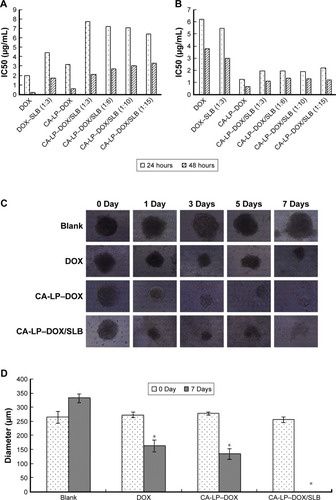 Figure 3 In vitro cytotoxicity.Notes: Cytotoxicity of DOX, CA-LP–DOX, DOX–SLB, and CA-LP–DOX/SLB (1:3, 1:6, 1:10, and 1:15, respectively) evaluated against H9c2 cells (A) and HepG2 cells (B) after 24 or 48 hours of incubation. (C) Microscope images of HepG2 tumor spheroids after incubation for 7 days with different formulations of treatment. (D) Size change of HepG2 tumor spheroids after incubation for 7 days with different formulations of treatment. Data are presented as mean ± SD of three independent experiments, *P<0.05, compared with blank group.Abbreviations: CA-LP, DSPE-PEG-cholic acid-modified liposomes; DOX, doxorubicin; SLB, silybin.