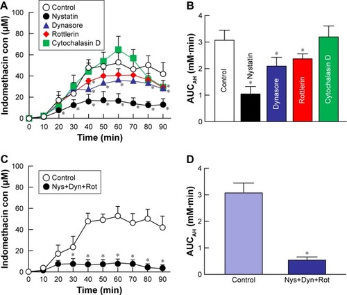 Figure 6 Effect of endocytosis pathways on in vivo transcorneal penetration of IMC-NPs in rabbit corneas.Notes: Intraocular behavior (A) and AUCAH (B) of indomethacin in IMC-NPs by treatment with individual endocytosis inhibitors. Intraocular behavior (C) and AUCAH (D) of indomethacin in IMC-NPs by multi-treatment with nystatin, dynasore and rottlerin (Nys+Dyn+Rot). n=4–6. *P<0.05 vs control for each category. Dynasore and rottlerin tended to decrease the AUCAH. On the other hand, nystatin significantly prevented transcorneal penetration. In addition, the AUCAH in rabbit cornea with multi-treatment was obviously lower than that in rabbit cornea treated with each individual endocytosis inhibitor.Abbreviations: AUCAH, area under the drug concentration–time curve in the aqueous humor; con, concentration; IMC-NPs, ophthalmic formulation containing indomethacin nanoparticles.