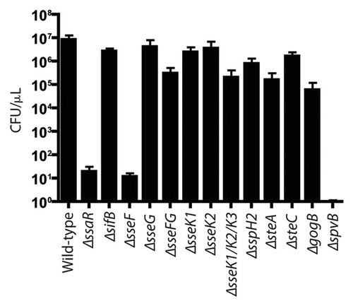 Figure 4 Bacterial counts of S. Typhimurium SPI2 mutants recovered from bile of C57BL/6 mice after oral infection. Mice were infected via oral gavage, sacrificed 5 d post-infection, and bile was extracted from gallbladders. Counts are given as colony-forming units (CFU) per microliter of bile. Error bars represent standard errors of the means. A minimum of 5 mice was used for each SPI2 mutant.