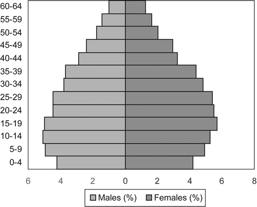 Figure 5: Age–sex distribution from the Special Retrospective Survey, 1997