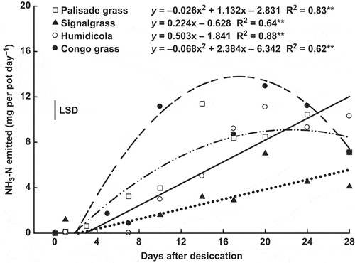 Figure 6 Temporal variation of ammonia (NH3-N) emission by shoot of palisade grass (Brachiaria brizantha (Hochst. ex A. Rich) Stapf) (□), signalgrass (Brachiaria decumbens Stapf) (▲), humidicola (Brachiaria humidicola (Rendle) Schweick) (○) and Congo grass(Brachiaria ruziziensis Germain et Evrard) (●) as affected by time after desiccation with glyphosate. ns = non significant, ** = significant (F test, P > 0.01). Vertical bar indicates least signficant difference (LSD) comparing species (P > 0.05).