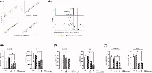 Figure 1. Idelalisib induced changes in the immunity crosstalk in stromal cells after CLL contact. EL08-1D2 cells were cocultivated with CLL cells for 5 d. Idelalisib (5 µM) was added 24 h prior separation of the cell types. The stromal cells were subjected to gene expression analyses focusing on the stromal immunity crosstalk (RT2Profiler PCR Array, Qiagen). (A) Scatter Blots from EL08-1D2 cells in monoculture ± Idelalisib and EL08-1D2 cells after coculture with CLL cells (SP) for 5 d with CLL cells from 3 individual patients ± Idelalisib were shown (n = 3). (B) The Volcano plot was calculated using the data derived from the scatter plots (https://geneglobe.qiagen.com/de/my-geneglobe/analysis). It displayed Idelalisib induced differentially expressed genes in EL08-1D2 stromal cells upon CLL contact (n = 3). Significant downregulated genes like C–C Motif Chemokine Receptor 9 (Ccr9/CD199), Tumor Necrosis Factor Ligand Superfamily Member 10 (Tnfsf10/Trail/CD253) and Colony Stimulating Factor 2 (Csf2/GM-CSF) were found within the upper left quadrant (blue box). (C) Concentration of the stromal GM-CSF was assessed in the supernatant from EL08-1D2 and HS-5 stromal cells before and after CLL contact using a species-specific GM-CSF ELISA (n = 6). (D) Density of stromal CD199 and (E) CD253 was detected on EL08-1D2 and HS-5 cells upon CLL contact under baseline conditions and after Idelalisib treatment by FACS analysis (n = 6). Bars indicate the standard error of the mean. *p < 0.05; **p < 0.01; ***p < 0.001. Abbreviations: CLL: chronic lymphocytic leukemia cells; SP: stromal cell pellet after CLL contact; Ctrl: control CLL cells with stromal contact without treatment; p; p-value.