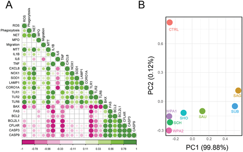 Figure 5. Gene expression patterns connect with neutrophil activities, and principal component analysis (PCA) identifies unique clusters of mastitis-causing bacteria.