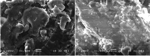 Figure 1. SEM images of the DSP surface (a) before and (b) after adsorption