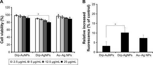 Figure 10 Cytotoxicity analyses of the prepared Drp-AuNPs, Drp-AgNPs and Au–Ag bimetallic NPs.Notes: (A) Cell viability of MCF-10A following the treatment by various concentrations of Drp-AuNPs, Drp-AgNPs and Au–Ag NPs. (B) Intracellular ROS levels of MCF-10A treated by 25 μg/mL Drp-AuNPs, Drp-AgNPs and Au–Ag bimetallic NPs. The intracellular ROS level is indicated by the relative fluorescence intensity of the ROS probe CM-H2DCFDA compared to the untreated cells. Values are the mean and standard deviation of five independent experiments. *P<0.05 using Student’s t-test.Abbreviations: Drp-AuNP, D. radiodurans protein extract-mediated gold nanoparticle; Drp-AgNP, D. radiodurans protein extract-mediated silver nanoparticle; NP, nanoparticle; MCF-10A, human breast epithelial cell line MCF-10A; ROS, reactive oxygen species.