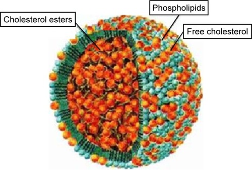 Figure 1 Design of the LDE particle, demonstrating its structure composed by nucleus made of cholesterol esters encapsulated by a monolayer of phospholipids and free cholesterol.Abbreviation: LDE, cholesterol-rich nanoemulsion.