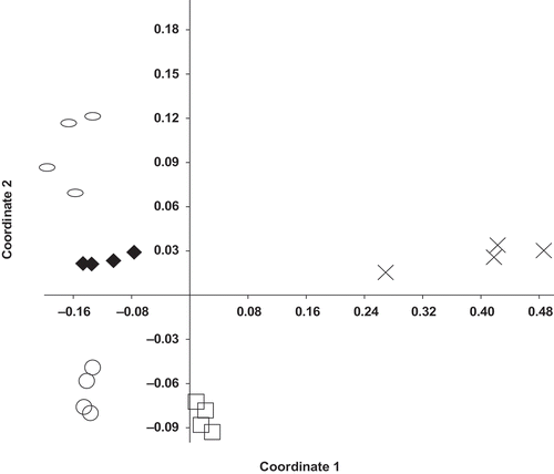 Figure 4. Effect of preplant orchard soil treatments on bacterial community composition detected in strawberry field soils (PSI site) at the end of the harvest season as assessed by nonmetric multidimensional scaling of phylum level taxonomic data using the Bray–Curtis distance metric. Treatments: Display full size = control; × = methyl bromide/chloropicrin fumigation; Display full size = anaerobic soil disinfestation (ASD) molasses; Display full size= ASD rice bran; Display full size = ASD rice bran + molasses. Each treatment was represented by four replicate plots and each data point represents a sample from an individual replicate.