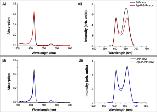 Figure 3 Absorption and emission spectra of ZnP-hexyl based systems (Ai and Aii, respectively) and ZnP-ethyl based systems (Bi and Bii, respectively). Data for each ZnP alone (black) and the systems AgNPs-ZnP-hexyl (red) and AgNPs-ZnP-ethyl (blue) were acquired in water using the following conditions, ZnP-hexyl at 1.6 µM, ZnP-ethyl at 3.0 µM, and AgNPs-ZnPs 1:4 v/v. Emission spectra were acquired at λexc = 426 nm.
