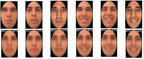 Figure 7. Examples of the unfamiliar male faces used. The top row are the original displayed faces, the bottom row are their respective reconstructions. Adapted from Nemrodov et al. [Citation73].