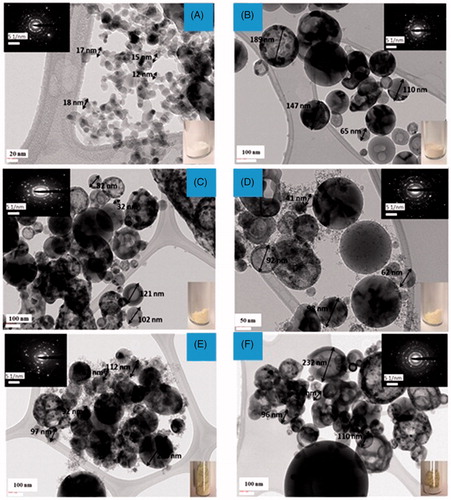 Figure 6. Transmission electron microscopy (TEM) images of aerosol made (A) FSP TiO2, (B) 0.8N-TiO2, (C) 1-2N-TiO2, (D) 2-1N-TiO2, (E) 1-1N-TiO2 with 25% water, and (F) 1-1N-TiO2 75% water.