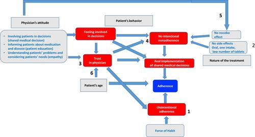 Figure 2 A novel model of patient adherence in taking medications. According to this model, it is possible to improve medication adherence by promoting the use of the habit (1, unintentional adherence), by playing on the nature of the treatment (2). Physician attitudes make the patient feel involved in decisions and has trust in the physician (3). These two factors combat intentional nonadherence (4). Finally, the attitudes of the physician are associated with the presence of a nocebo effect of the drug which also favors the occurrence of intentional nonadherence (5). The effect of age on trusting the doctor could form a facet of the well-known influence of age on adherence (6).