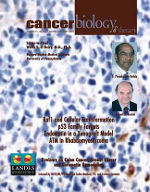 Cover image for Cancer Biology & Therapy, Volume 2, Issue 1, 2003
