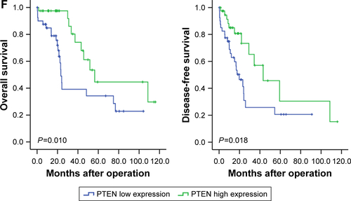 Figure S2 Clinical characteristics of PTEN in patients with HCC.