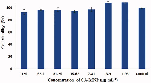Figure 11. Viabilities of MCF-7 cells after 48 h treatment with medium containing different concentrations of CA-MNP.