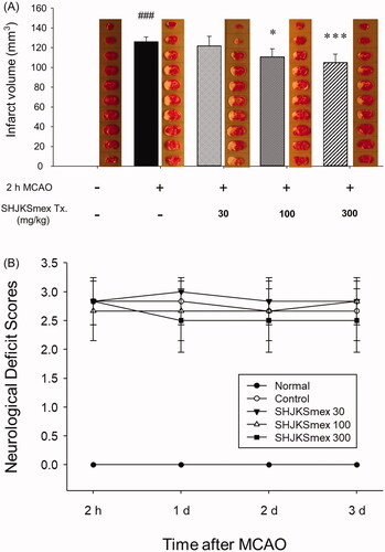 Figure 4. Representative group images and total infarct lesion volumes detected via TTC staining after 2 h of middle cerebral artery occlusion (MCAO) and the effects of pre-treatment with the methanol fraction of the modified Seonghyangjeongki-san water extract (SHJKSmex) on the total infarct volume (A) and neurological deficit scores (B) in each group. The harvested brain slices were stained with TTC to measure the infarct volumes. Ischaemic regions were identified as pale regions in the coronal slices. SHJKSmex pre-treatment significantly decreased the infarct volumes at 24 h after MCAO. SHJKSmex pre-treatment did not improve the neuronal deficit scores at 24 h after MCAO. The results are presented as the mean ± SD. ###p < 0.001 vs. normal group, *p < 0.05, ***p < 0.001 vs. MCAO control group; n = 6 in each group. TTC: 2,3,5-triphenyl-tetrazolium chloride.