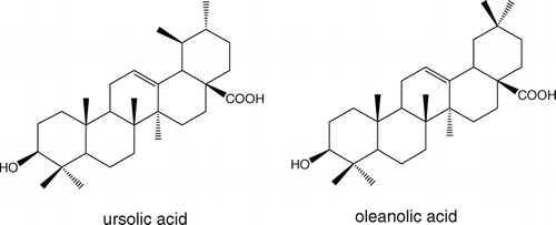 Figure 1 Chemical structures of ursolic acid and oleanolic acid.