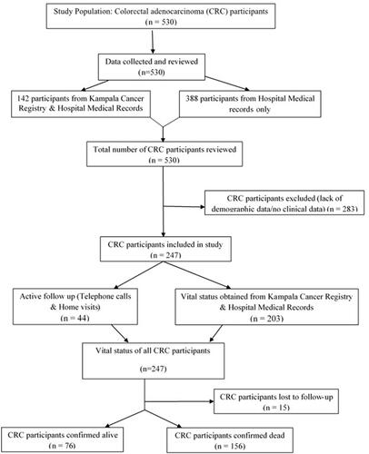 Figure 1 Colorectal cancer patients’ selection flow chart for the study.