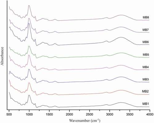 Figure 3. FT-IR chromatogram of starches from different mung bean varieties. Abbreviations are the same as in .Table 1