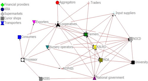 Figure 4. Information network visualization.