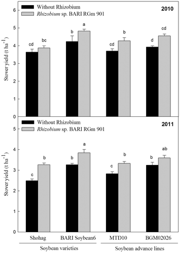 Fig. 4. Effect of inoculation with Rhizobium sp. BARIRGm901 on stover yield of soybean genotypes grown in gray terrace soil in 2010 and 2011.