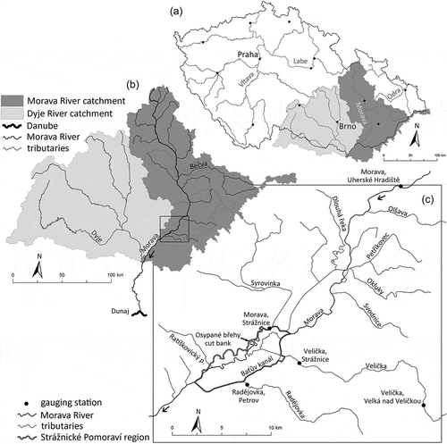 Figure 1. Study reach of the Morava River within (a) the Czech Republic, (b) the entire drainage, and (c) the Strážnické Pomoraví region.
