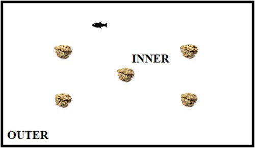 Figure 2. Novel environment test with inner and outer part indicated.
