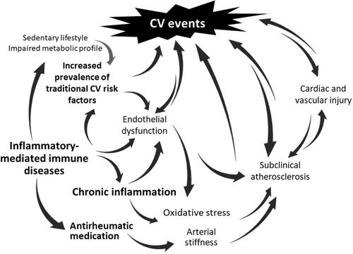 Figure 1 Factors implicated in the pathogenesis of increased cardiovascular disease (CVD) risk in patients with immune-mediated inflammatory diseases. Traditional CVD risk factors, disease-related factors triggered by the dysregulation of innate immunity, and the current and cumulative inflammatory burden, act synergistically and promote the pathophysiological processes of endothelial dysfunction, arterial stiffness and oxidative stress. The mutual interplay of these factors eventually leads to accelerated atherosclerosis, subclinical micro- and macrovascular damage and subsequently, clinically evident CVD.