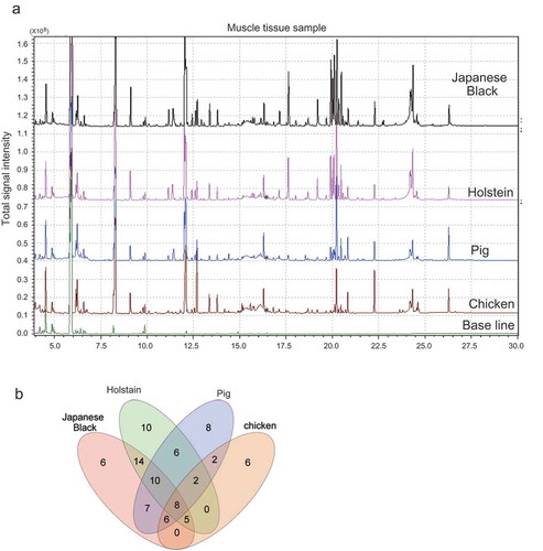 Figure 1. Evaluation of GC/MS for analysis of meat metabolites.(a) Chromatogram shows the total ion content of muscle tissues isolated from livestock. These chromatographs show a comparison among Japanese black cattle, Holstein, pig, and chickens. Asterisk indicates the peak of IS (16.5 minutes). (b) Venn diagram showing the number of overlapping metabolites with reproducibility between livestock species.