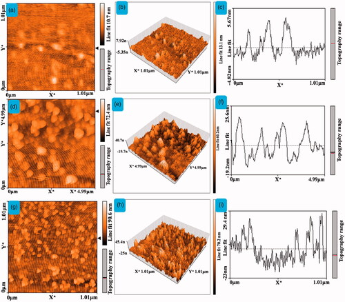 Figure 5. The AFM images of 2D, 3D, and topographical images of (a–c) CQD, (d–f) 5-ALA-CQD-BOC-Glu-β-CD, and (g–i) DOX/5-ALA-CQD-BOC-Glu-β-CD nanocarrier.