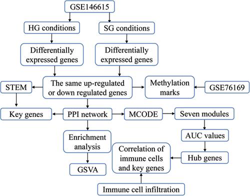 Figure 1 Study flowchart. The GSE146615 dataset was used to identify potential diagnostic biomarkers and therapeutic targets of diabetic retinopathy (DR), as well as molecular mechanisms of the disease. Alterations in methylation of DR-related genes were also screened to identify methylated markers.