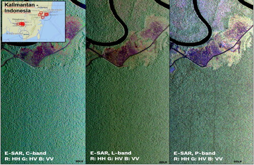 Figure 2. Matched pair of different parameters of SAR images.