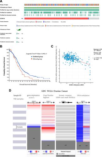 Figure 3 The gene alteration and methylation of SCNN1A in OV. (A and B) Genetic alteration in SCNN1A and its correlation with OS of OV patients. (C) The relationship between SCNN1A methylation and its expression level. (D) Mutation, CNV, and methylation analysis of SCNN1A in OV via UCSC Xena.