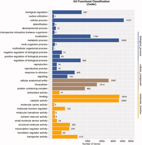 Figure 2. GO classification of all unigenes in Cutaneotrichosporon dermatis NICC30027.