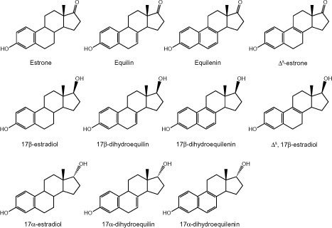 Figure 2 Chemical structures of known steroidal estrogens found in the clinical formulation of conjugated equine estrogens.