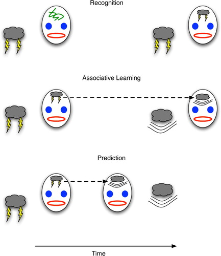 Figure 1. (Top) Recognition depicted as the formation of a brain state (drawn as lightning on the forehead) that becomes correlated with a physical event (lightning). (Middle) Learning the association between one event (lightning) and its successor (thunder) by linking the brain states that correlate with each. (Bottom) Declarative prediction entails recognising one event (lightning) and forming the succeeding brain state for thunder prior to (or even in the absence of) the real-world event with which it correlates.