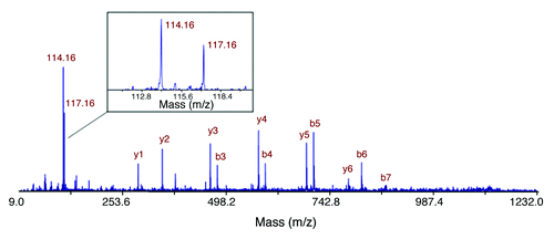 Figure 1. Identification of overexpression of galectin-1 in PDAC from STS in comparison to VLTS. The MS/MS spectrum leading to identification of a unique peptide (SFVLNLGK) from galectin-1 is displayed. The insert shows the iTRAQ reporting peaks of 114 and 117, representing STS and VLTS samples, respectively. The ratio of galectin-1 expression in STS relative to VLTS was calculated to be 1.91.