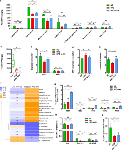 Figure 6. Akkermansia muciniphila regulated intestinal SCFA and tryptophan metabolism in NASH mice. The concentrations of multiple (a) and total (b) SCFAs in the colonic contents were determined by GC/MS. N = 8 mice/group. (c) the gene expression of SCFA receptors in the colon was measured by RNA sequencing. N = 3 mice/group. (d) DPP4 expression in colon tissue was measured by RNA sequencing. N = 3 mice/group. (e) Serum GLP − 1 levels. n = 8 mice/group. (f) Heatmap of the differential tryptophan metabolites in feces between the HFD and HC groups or the HFD+AKK and HFD groups. The log2 (fold change) values were calculated from the normalized area values of untargeted metabolomics profiling. n = 8 mice/group. (g) the gene expression of colonic enzymes in the kynurenine pathway was measured by RNA sequencing. n = 3 mice/group. (h and i) AhR-responsive gene expression (Cyp1a1, Cyp1b1, Ahr and IL −22 r) was measured by RNA sequencing. n = 3 mice/group. Data are shown as the mean ± SEM or the median with interquartile range. p values were determined using one-way ANOVA or the Kruskal‒Wallis test. *p < 0.05, ** p < 0.01, *** p < 0.001. Groups: NC, normal chow control; HFD, high-fat diet; HFD + AKK, high-fat diet and oral treatment with Akkermansia muciniphila.