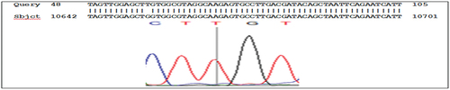 Figure 3. g.10653 codon 12 substitution G>T, ggt> tgt Rs121913530 nucleotide sequence (forward) in KRAS gene, exon 2.