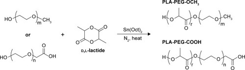 Figure 2 Synthesis of PLA-PEG copolymers.Abbreviations: PEG, poly(ethylene glycol); PLA, poly(lactic acid).