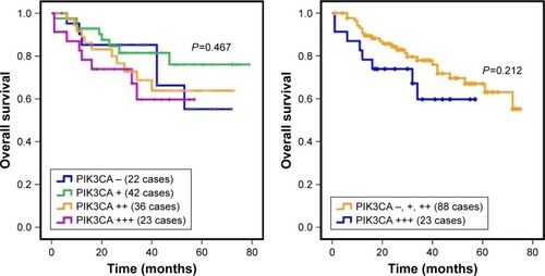 Figure 2 Overall prognostic significance of PIK3CA expression, which was analyzed using the Kaplan–Meier survival curve in DLBCL.
