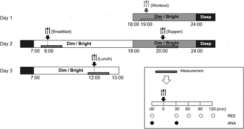 Figure 1. The time schedule for each experiment.The bars are colored according to the time of day: white, daytime; light gray, nighttime and dark gray, sleep time. The slim, horizontal shaded bars indicate the measurement times for resting energy expenditure (REE) and autonomic nervous activity (ANA) around mealtimes.